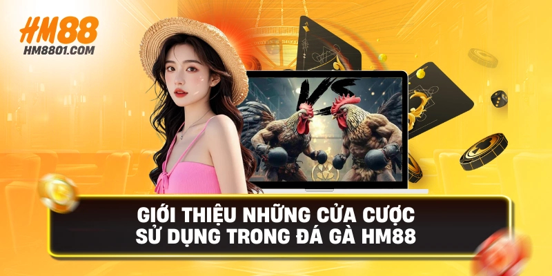 Giới thiệu những cửa cược sử dụng trong đá gà